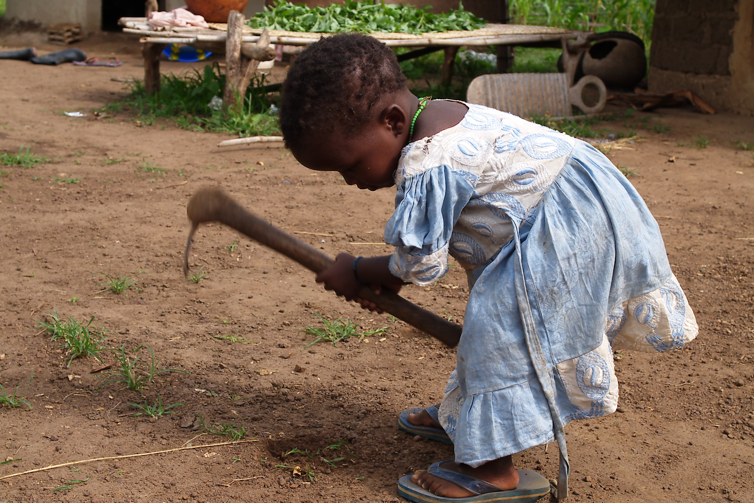 PLAN ÁFRICA: actividades educativas de sensibilización.