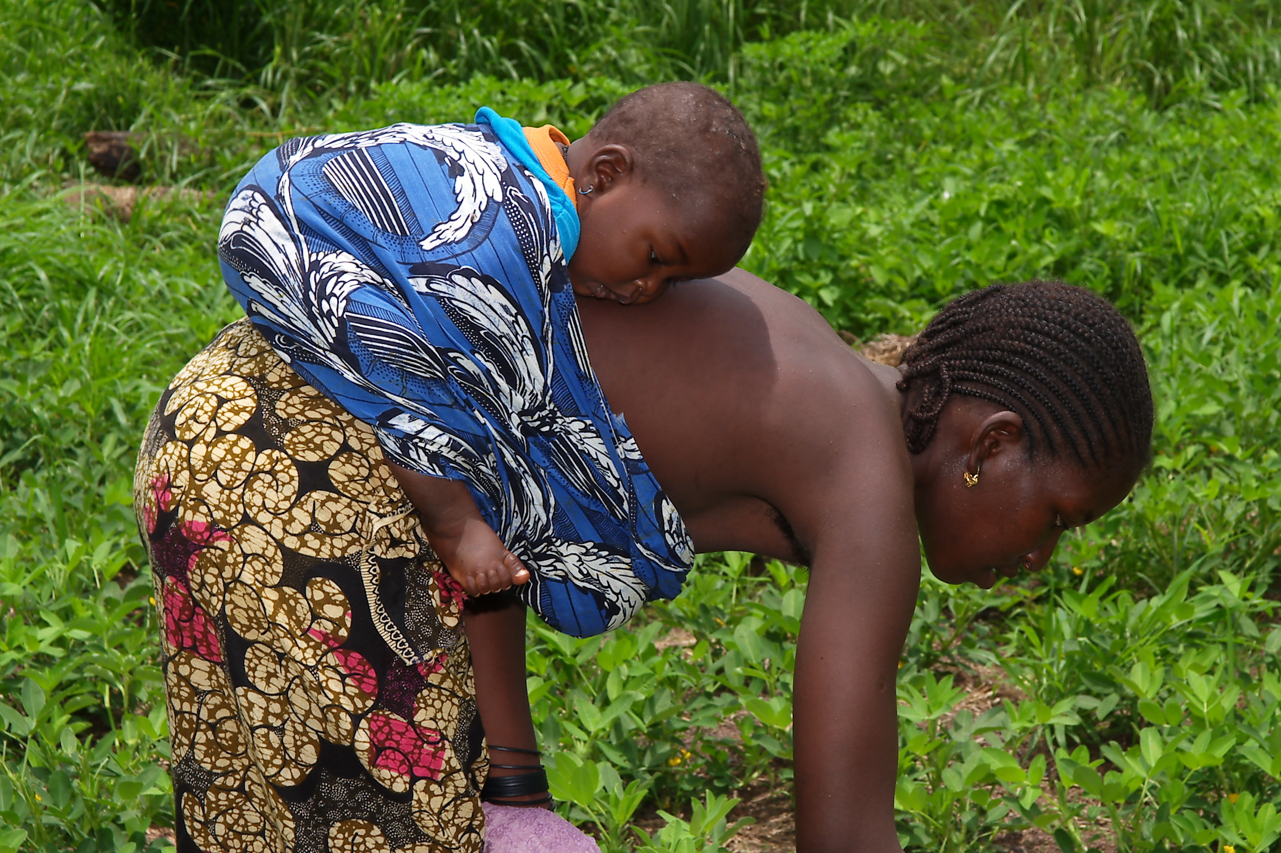 PLAN ÁFRICA: actividades educativas de sensibilización.