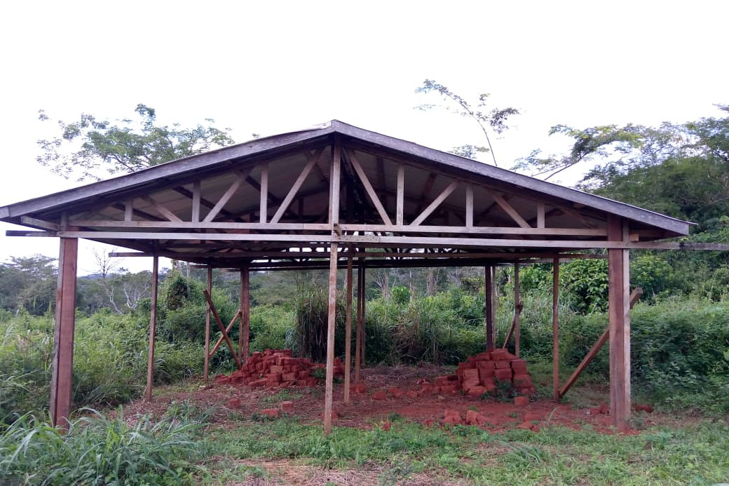 Proyecto pigmeos. Asociación Banta África