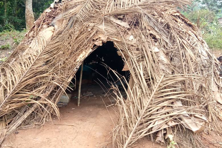 BECAS PARA QUINCE NIÑOS PIGMEOS-AKA DE LA ESCUELA SECUNDARIA DURANTE CUATRO AÑOS
